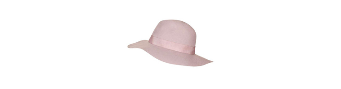Lady's hat